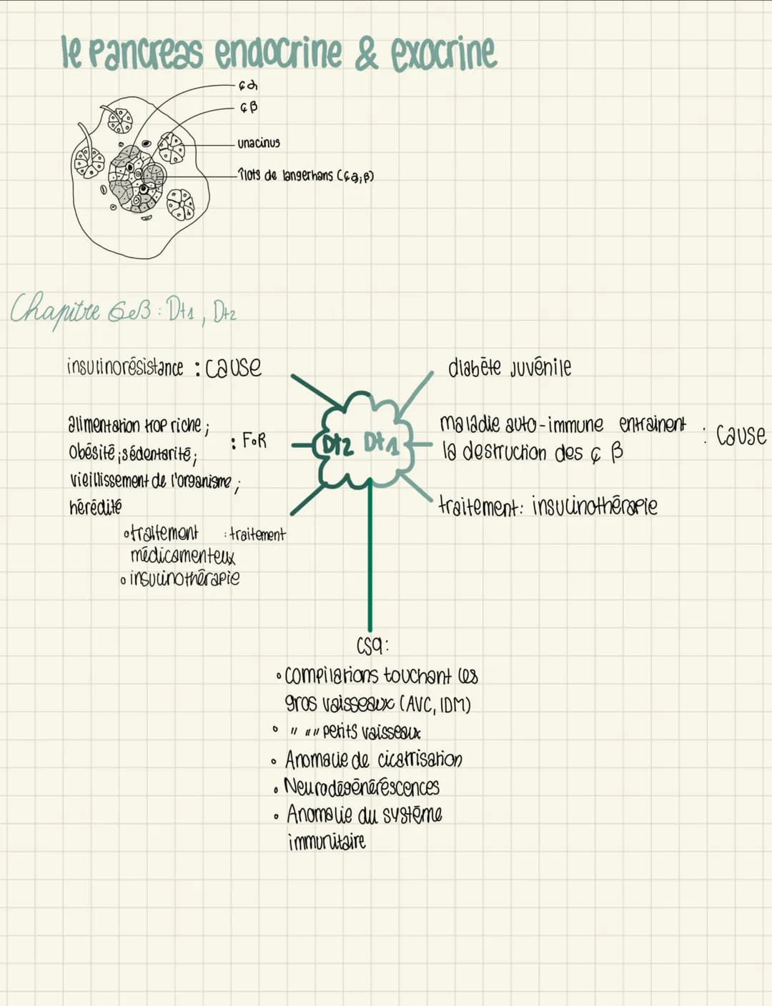 nephron
(capsule de
Bow mann
glomérule
corpuscule de
Malpighi
-> Filtration
→reabsorption
->secretion
Xenobiotiques
voie d'entrée digestif
→