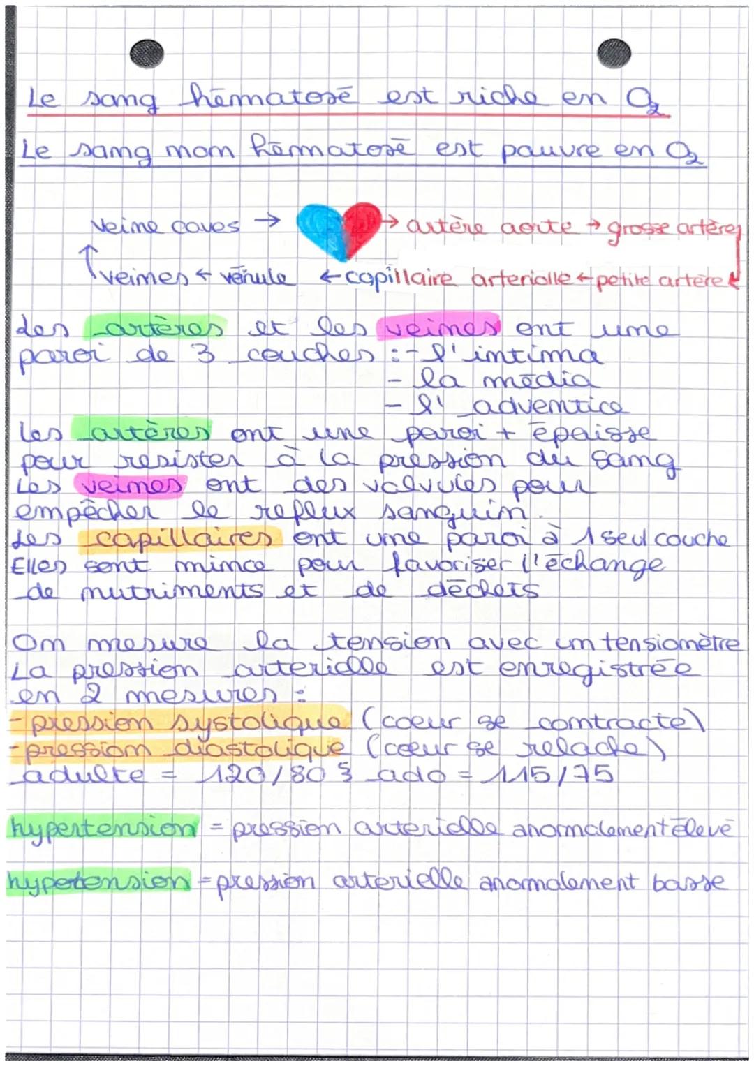 # • BIOLOGIE•

Capillaire samguins

Veine cave superieucy

artère

tête et cou

Circulat
pulan-
omere

Veine cave inforievie

artère
pulmonè