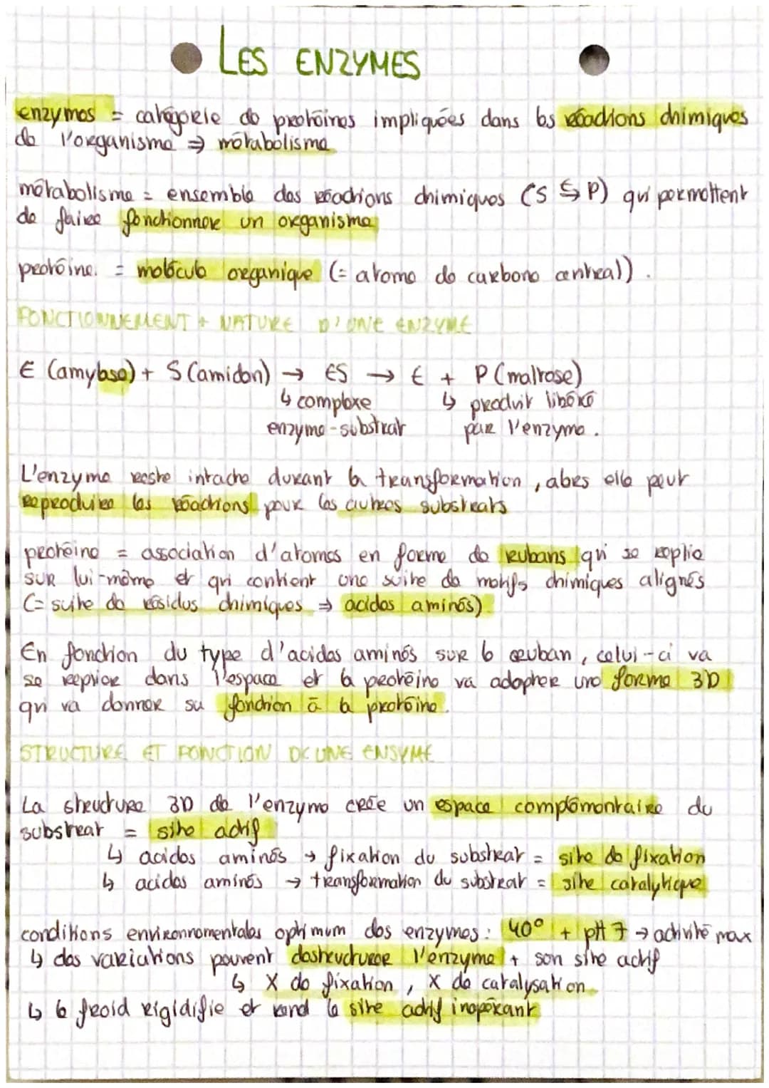 LES ENZYMES
enzymos = categorie do prohoines impliquées dans bs boacions chimiques.
de l'organisme = mõtabolisme
métabolisme = ensemble des 