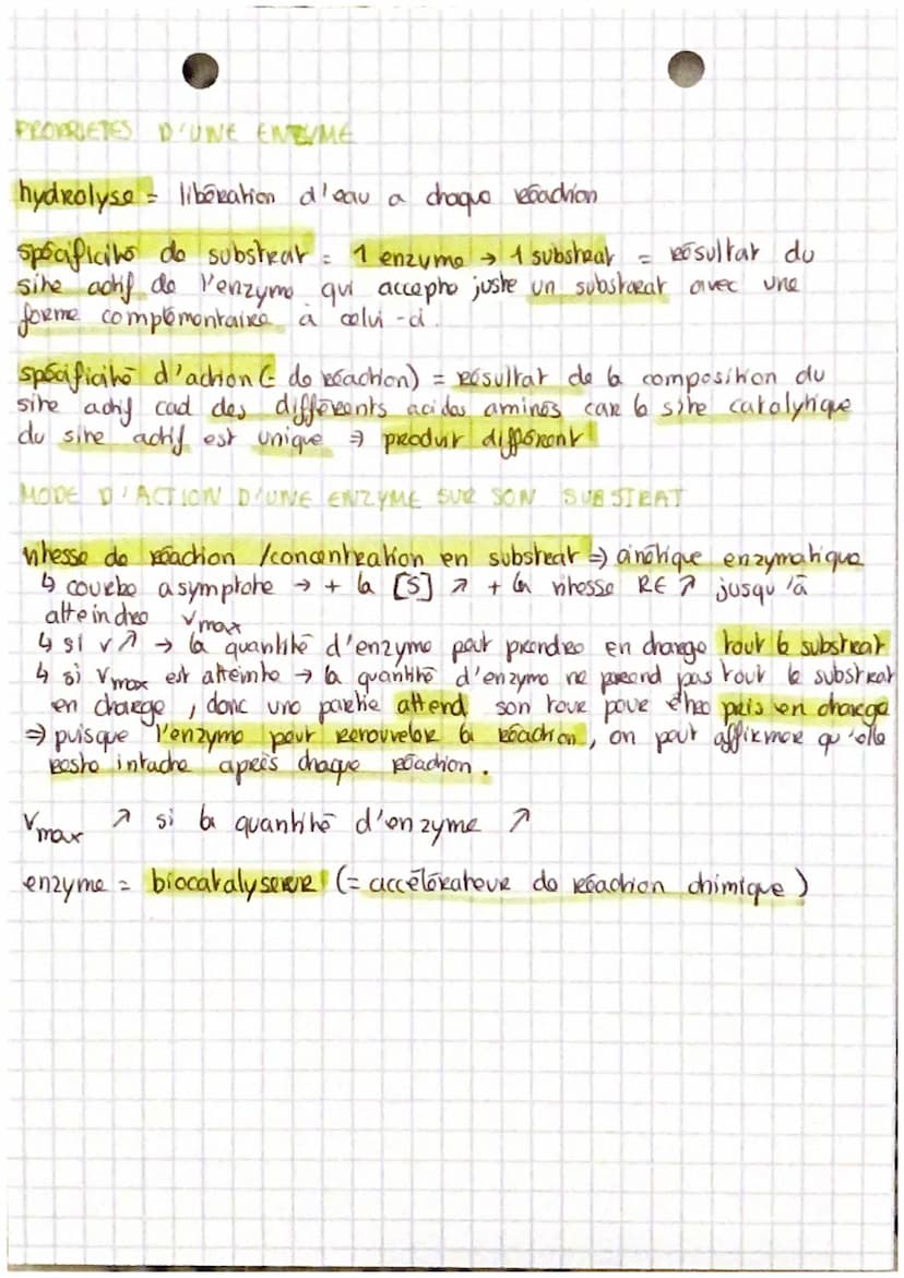 LES ENZYMES
enzymos = categorie do prohoines impliquées dans bs boacions chimiques.
de l'organisme = mõtabolisme
métabolisme = ensemble des 