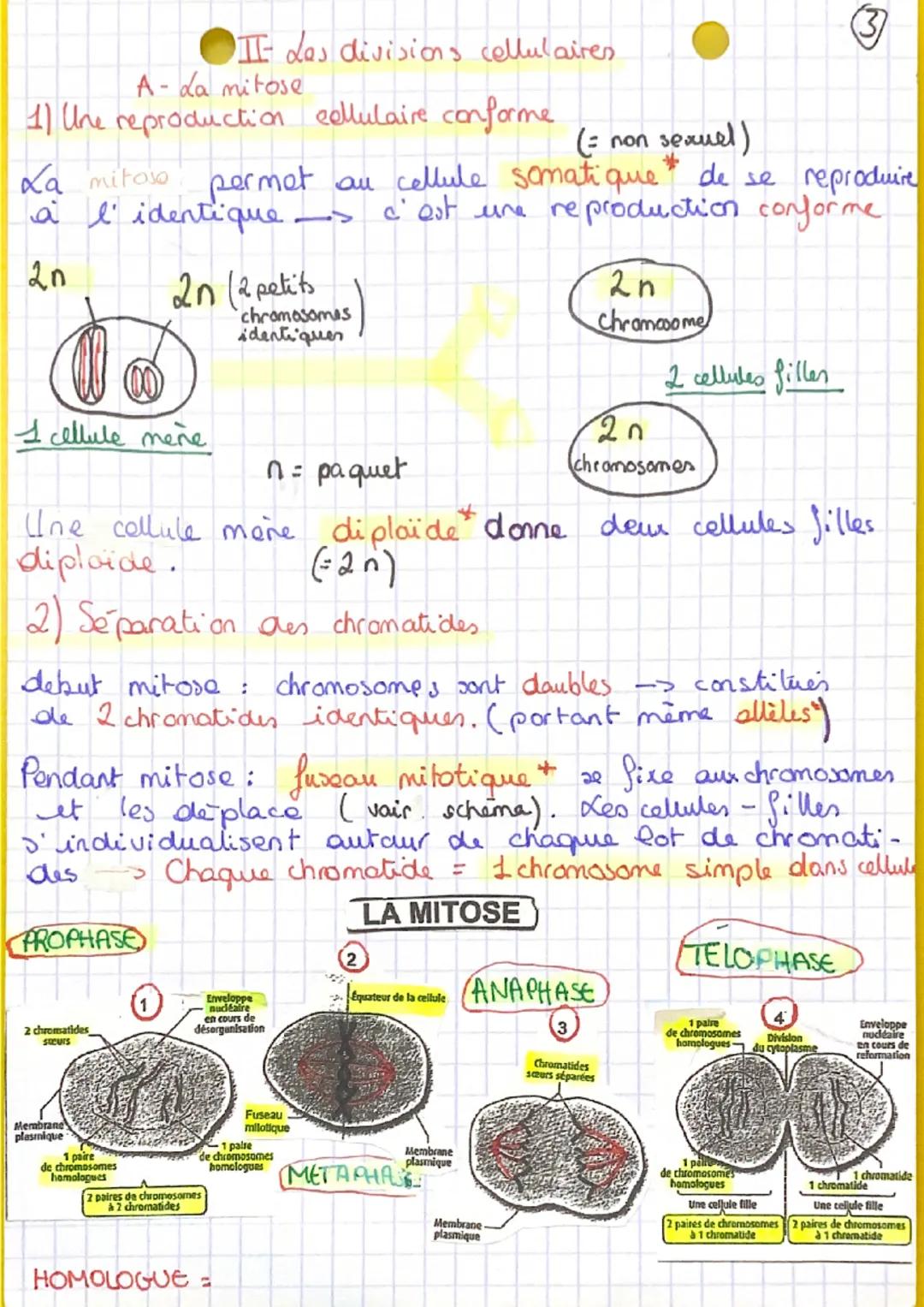 CH: 2
Pour produire nauvelle cellule -
transmettre à cellule fille.
da transmission du
protrimaine genetique
I Le cycle cellulaire
A Les éta