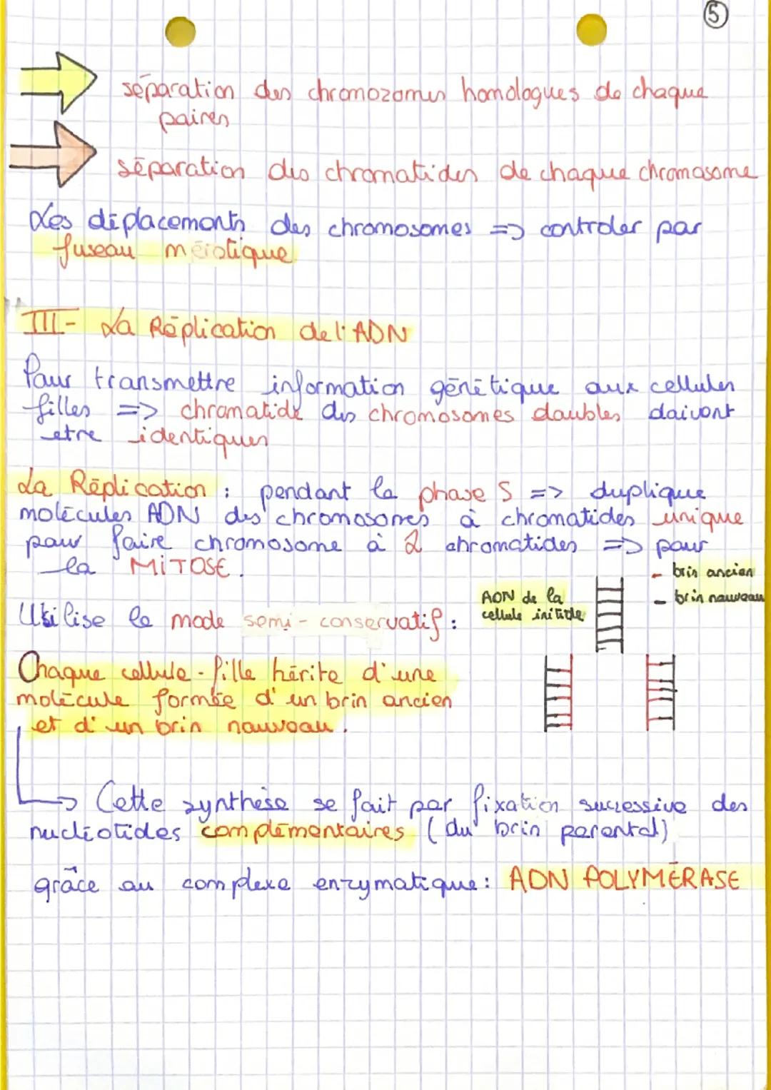 CH: 2
Pour produire nauvelle cellule -
transmettre à cellule fille.
da transmission du
protrimaine genetique
I Le cycle cellulaire
A Les éta