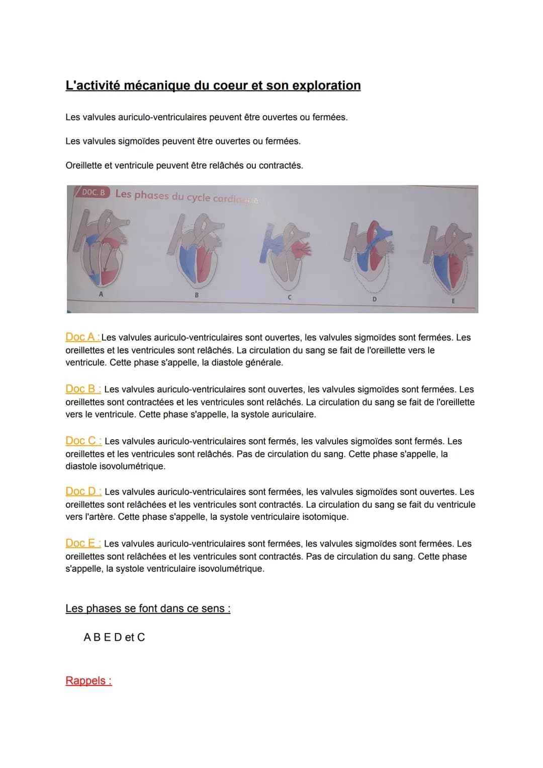 Schématisation du coeur
ww
N
Chapitre 4.2: Activité mécanique de la révolution
cardiaque
3-
Légende :
1 - veine cave supérieure
2- oreillett