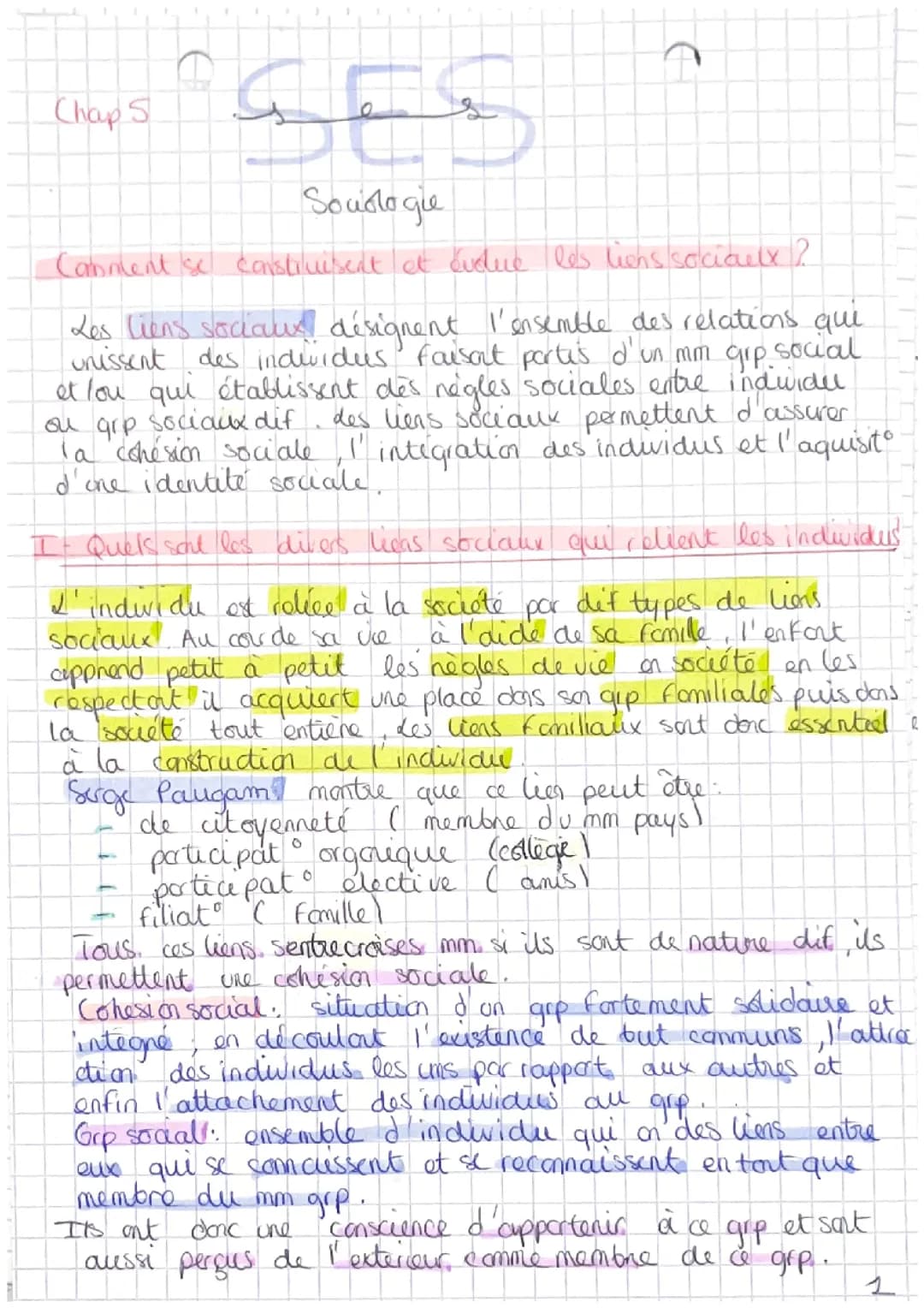 SES Liens sociaux 