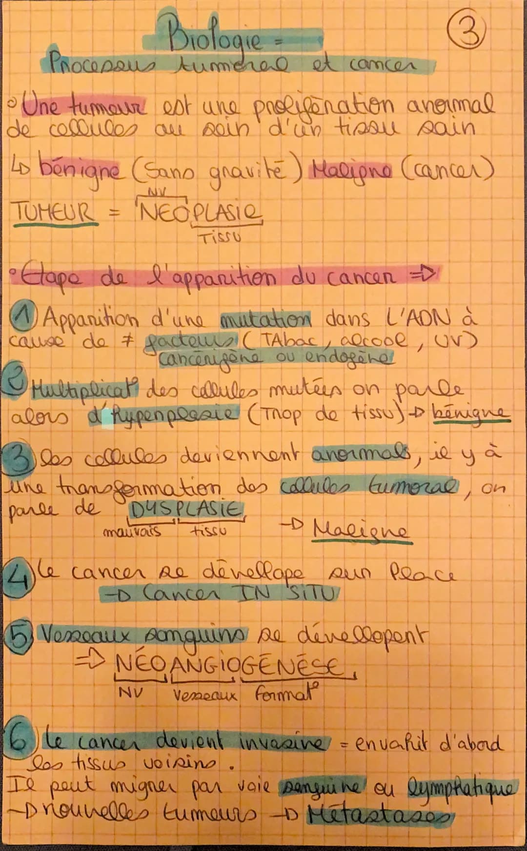 3
Une tumeur est une proliferation anormal
de cellules au sein d'un tissu sain
Lo bénigne (Sano gravite) Malione (cancer)
NEOPLASIO
TUMEUR =