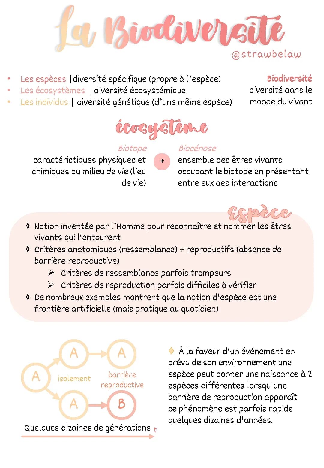 La Biodiversité