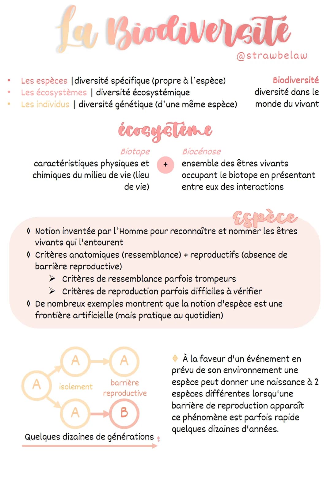 ●
●
La Biodiversite
Les espèces diversité spécifique (propre à l'espèce)
Les écosystèmes | diversité écosystémique
Les individus | diversité