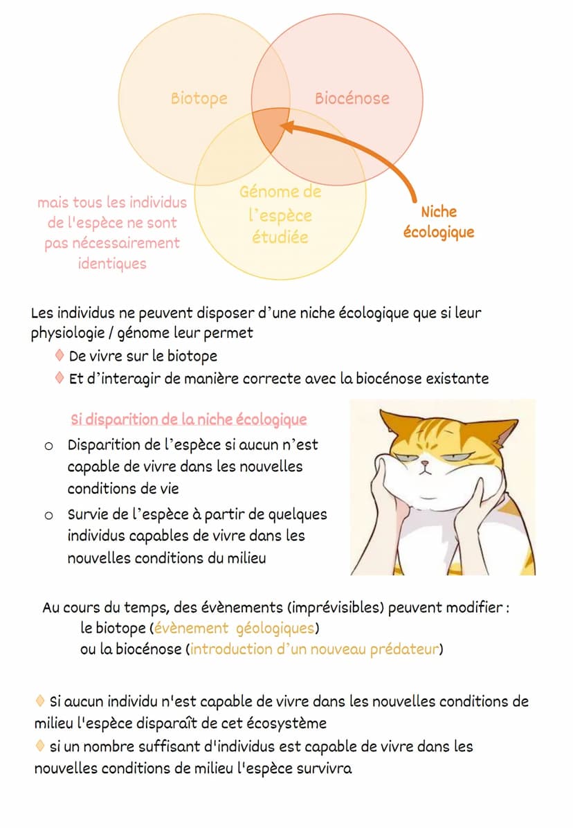 ●
●
La Biodiversite
Les espèces diversité spécifique (propre à l'espèce)
Les écosystèmes | diversité écosystémique
Les individus | diversité