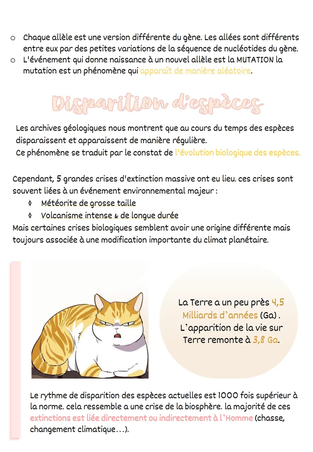 ●
●
La Biodiversite
Les espèces diversité spécifique (propre à l'espèce)
Les écosystèmes | diversité écosystémique
Les individus | diversité