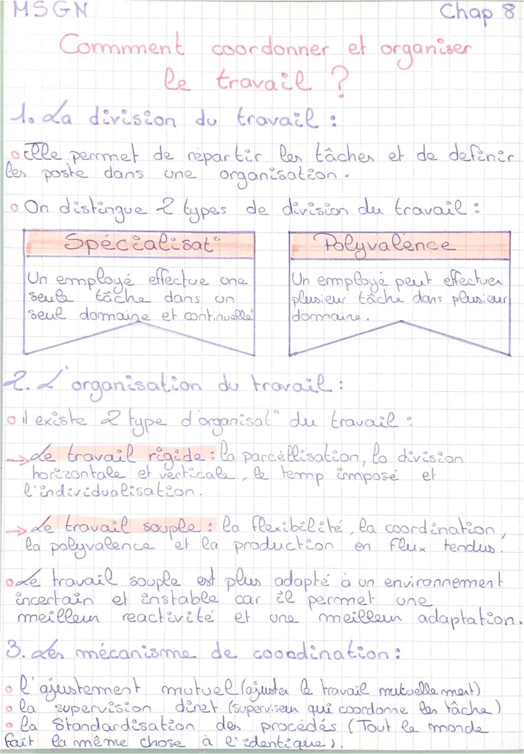 Exercice Management Terminale STMG: Coordiner et Organiser le Travail