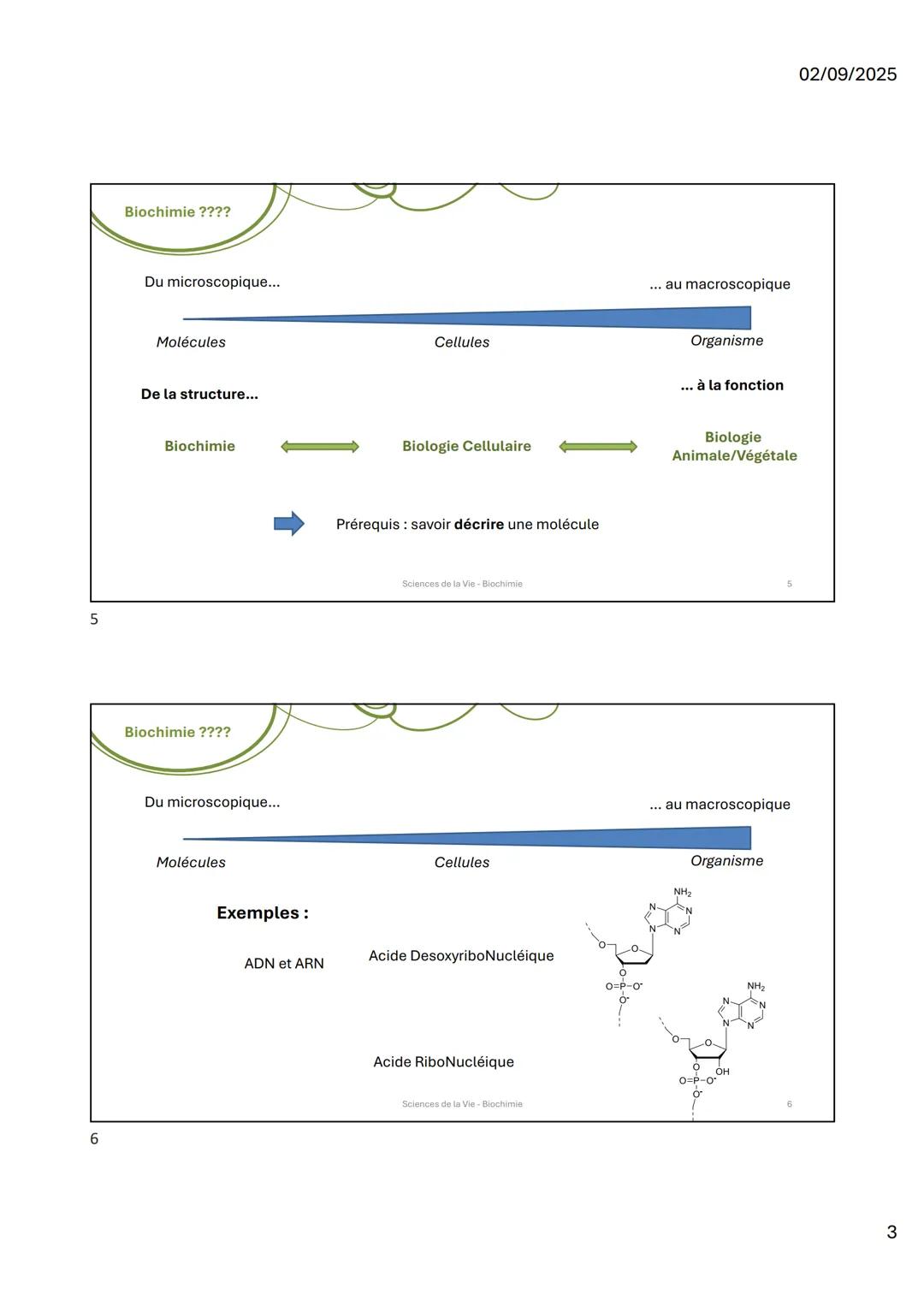 1
2
HO
OHOH
UFR
ences
icoa
Organisation du
module
HN
Sciences de la Vie 1
Biochimie I
Les molécules du vivant
NH2
Sciences de la Vie-Biochim