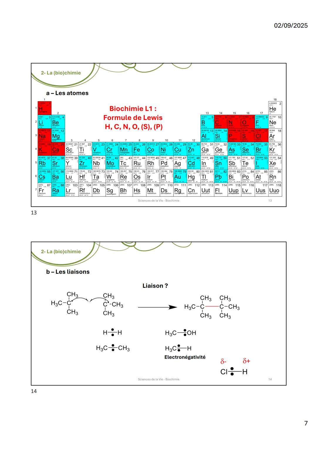 1
2
HO
OHOH
UFR
ences
icoa
Organisation du
module
HN
Sciences de la Vie 1
Biochimie I
Les molécules du vivant
NH2
Sciences de la Vie-Biochim