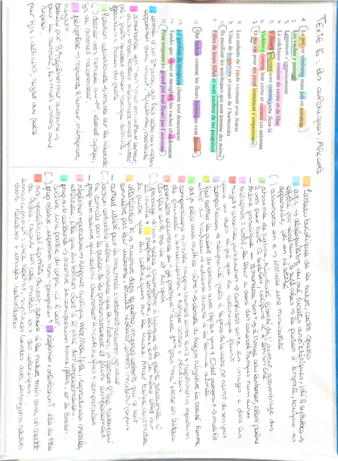 --- OCR Start ---
INTRODUCTION (1 min 30 max.)
Carte d'identité de l'œuvre
Plan
Copyright @selenedepoche
1 mur pour chaque in porsonnage
Mou
