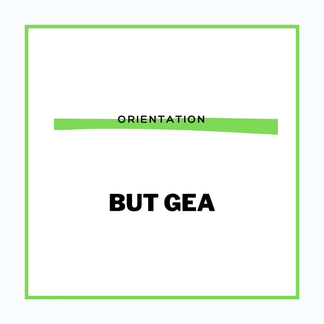ORIENTATION
BUT GEA C'EST QUOI LE BUT GEA ?
Le BUT (bachelor universitaire de
technologie) gestion des entreprises et
administrations se pré