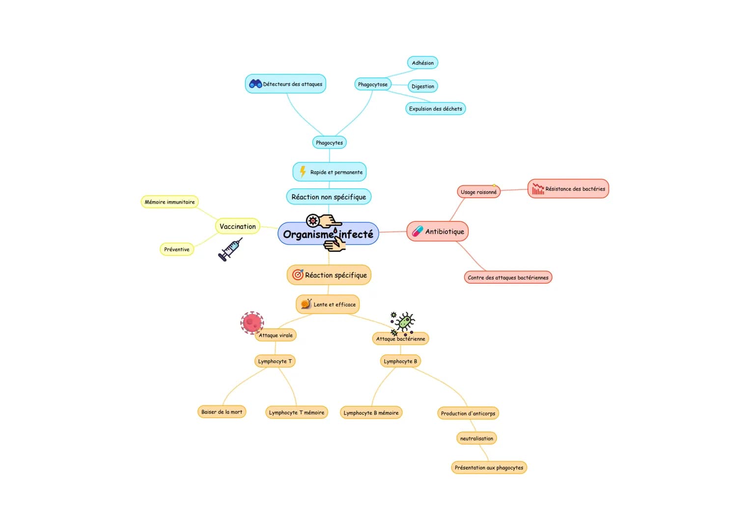 Mémoire immunitaire
Préventive
Vaccination
HTTD
Baiser de la mort
Détecteurs des attaques
Phagocytes
Attaque virale
Réaction non spécifique
