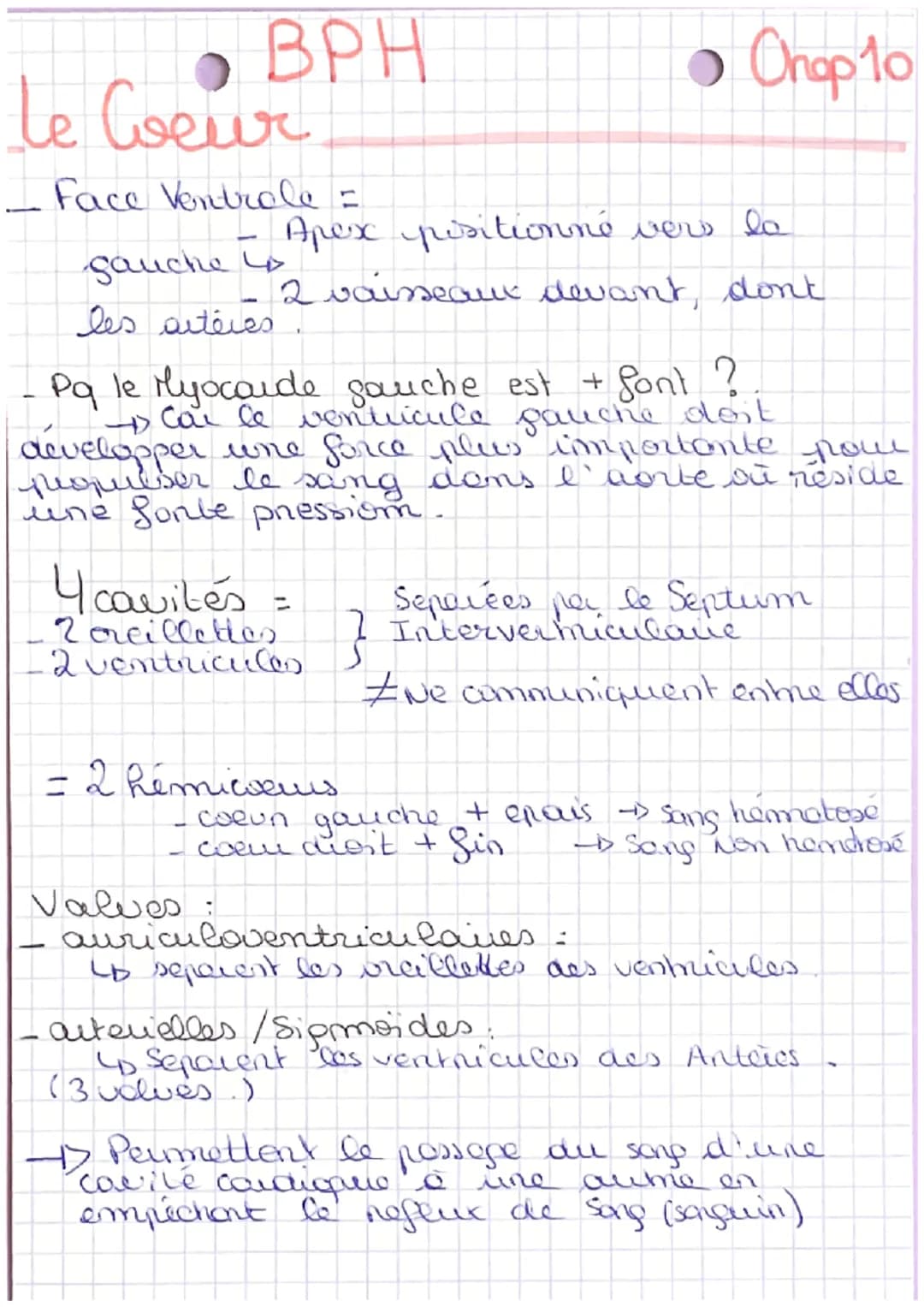 BPH
te
Le Ceur
Face Ventrale =
gauche 4
Apex positionné vers la
2 vaisseaux devant, don't
les siteres
Pq le Myocarde gauche est + font ?
- C