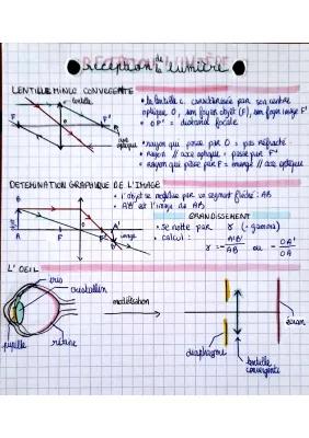 Know Perception de la lumière  thumbnail