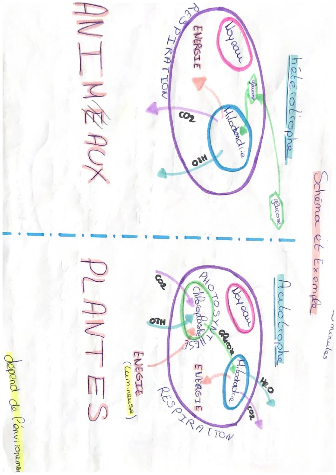 mesaces du temps
-obscurite de 0 à 3 minutes
lumière de 3 à 7 minutes
-obscurité de 7 à 10 minutes
1290+
production on
consomation con
PHOTO