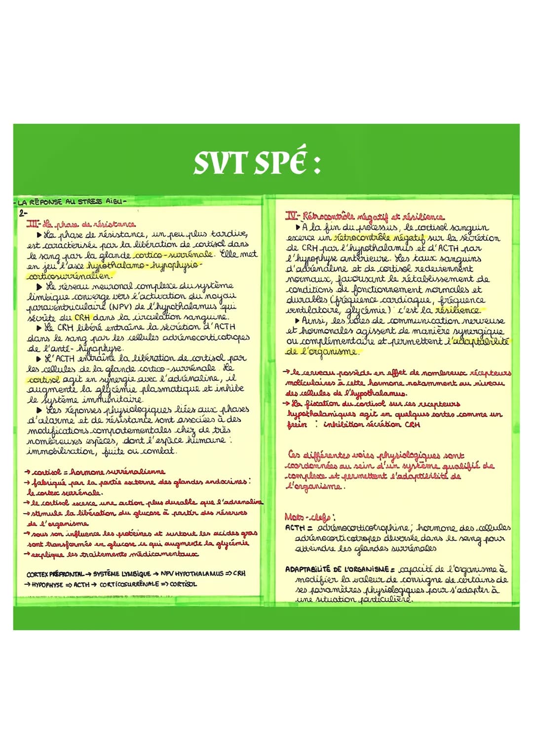 La Réponse au
Stress Aigu
SVT SPÉ:
I- Le stress aigu
▶ Le stress aigu désigne les réponses adaptatives
(physiologiques, cognitives, émotionn