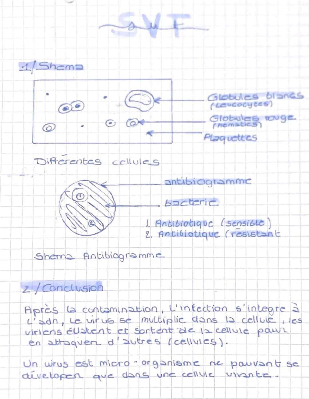 svt : micro organisme 