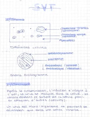 Know svt : micro organisme  thumbnail