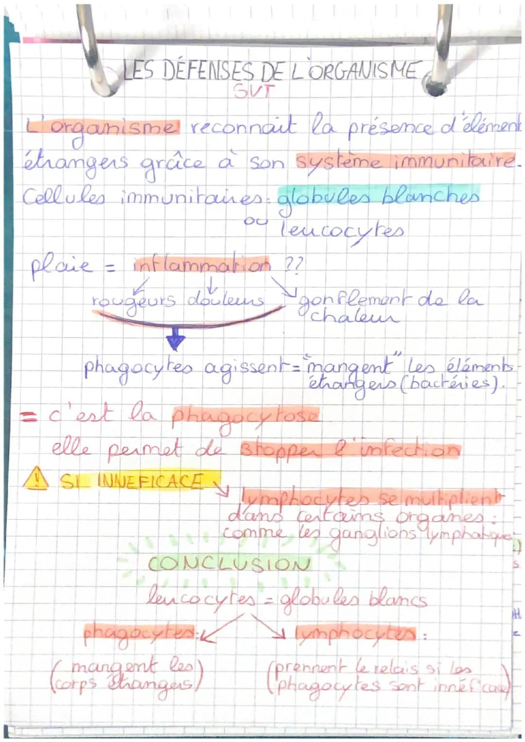 LES DEFENSES DE L'ORGANISME
SUT
L'organisme reconnait la présence d'élément
étrangers grâce à son système immunitaire.
Cellules immunitaires