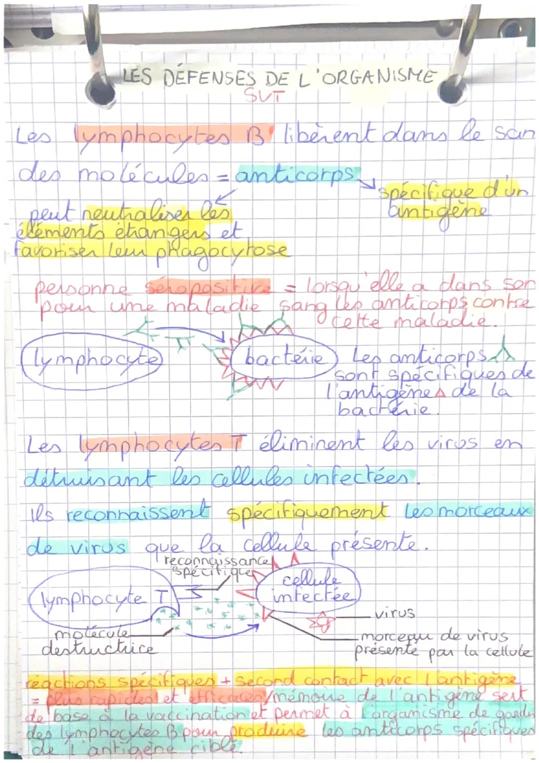 LES DEFENSES DE L'ORGANISME
SUT
L'organisme reconnait la présence d'élément
étrangers grâce à son système immunitaire.
Cellules immunitaires