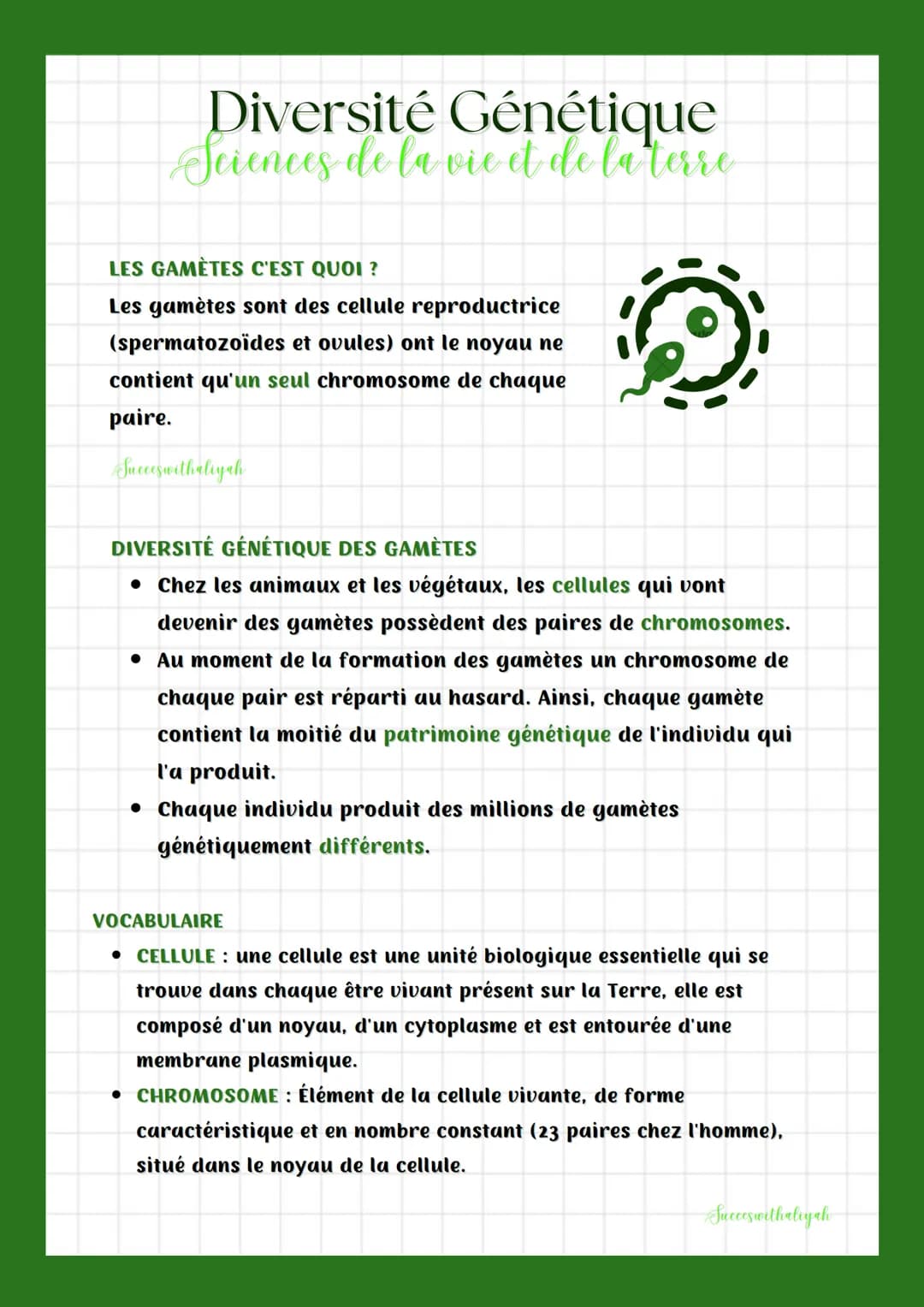 Diversité Génétique
Sciences de la vie et de la terre
LES GAMÈTES C'EST QUOI ?
Les gamètes sont des cellule reproductrice
(spermatozoïdes et