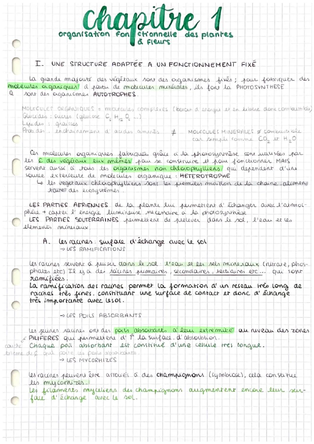 DEFINITIONS SVT
Chapitre 1: organisation fonctionnelle des plantes à fleur
Poil absorbant : cellule très longue
Organogenèse : formation et 