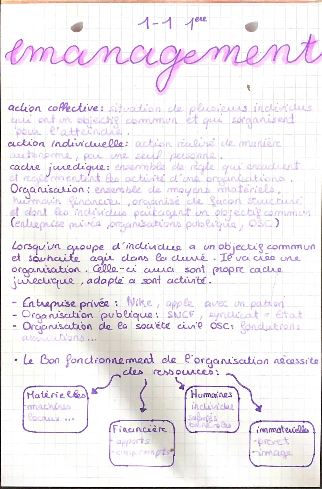 Cours et Fiche de Révision Management 1ère STMG PDF - Exemples et Évaluations