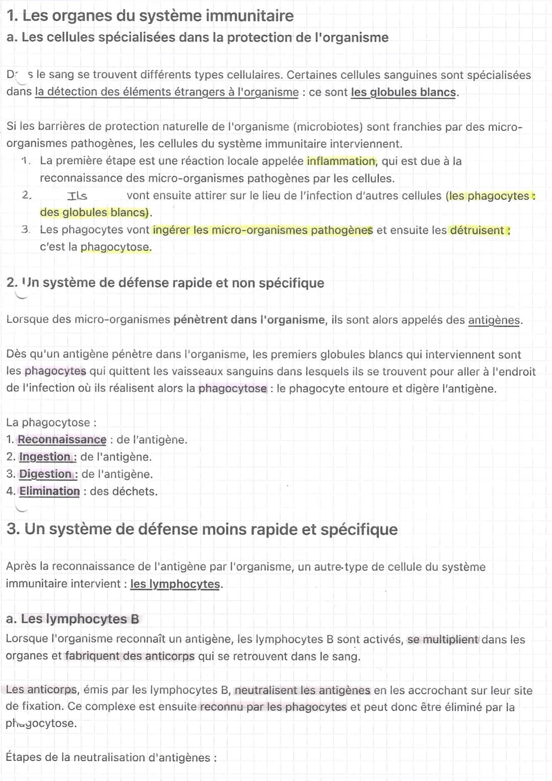 1. Les organes du système immunitaire
a. Les cellules spécialisées dans la protection de l'organisme
D s le sang se trouvent différents type