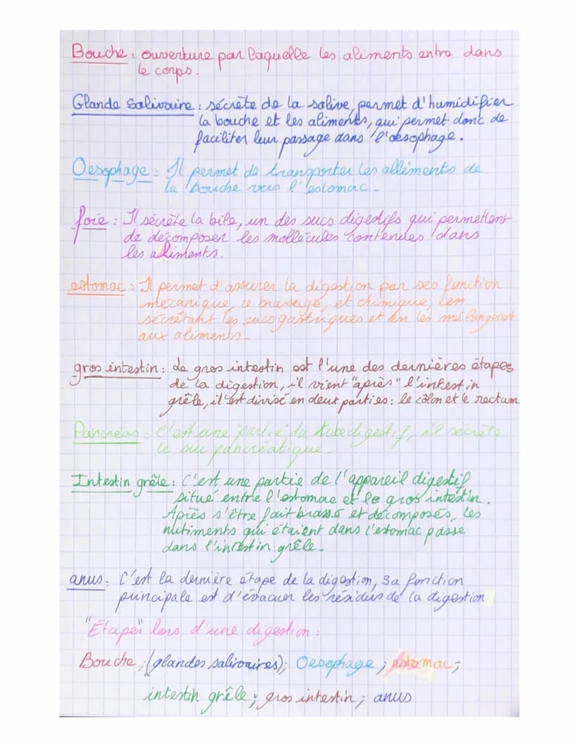 I_4
parcours
Pour leur fonctionnement, les
ont besoin
organes
de nutriment, ces derniers proviennent de la
digestion des aliments consommés.