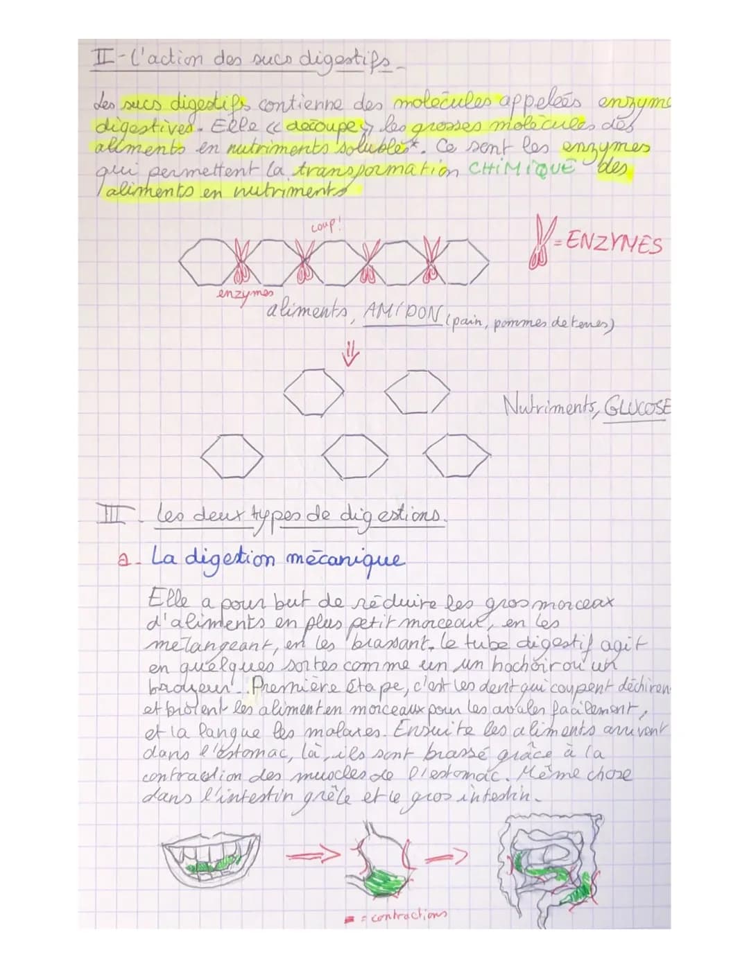 I_4
parcours
Pour leur fonctionnement, les
ont besoin
organes
de nutriment, ces derniers proviennent de la
digestion des aliments consommés.