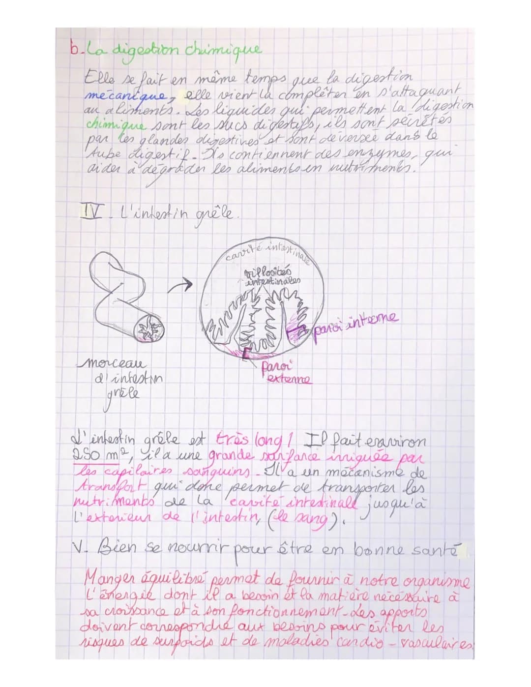 I_4
parcours
Pour leur fonctionnement, les
ont besoin
organes
de nutriment, ces derniers proviennent de la
digestion des aliments consommés.