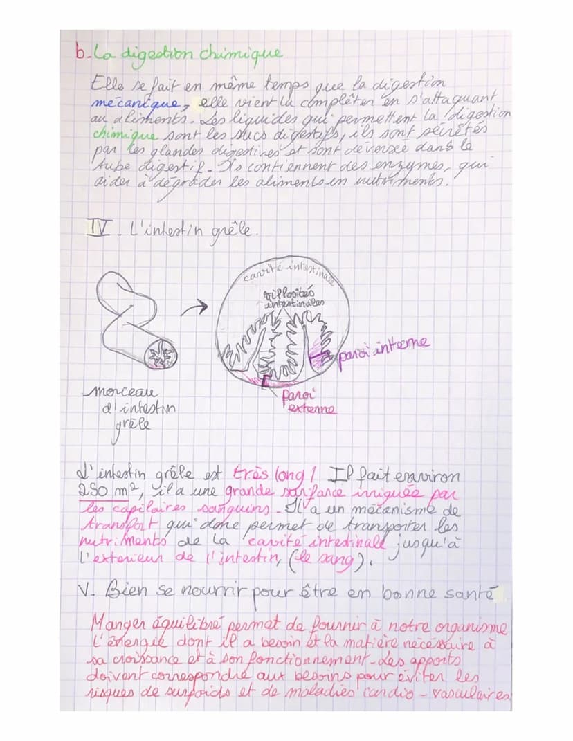 I_4
parcours
Pour leur fonctionnement, les
ont besoin
organes
de nutriment, ces derniers proviennent de la
digestion des aliments consommés.