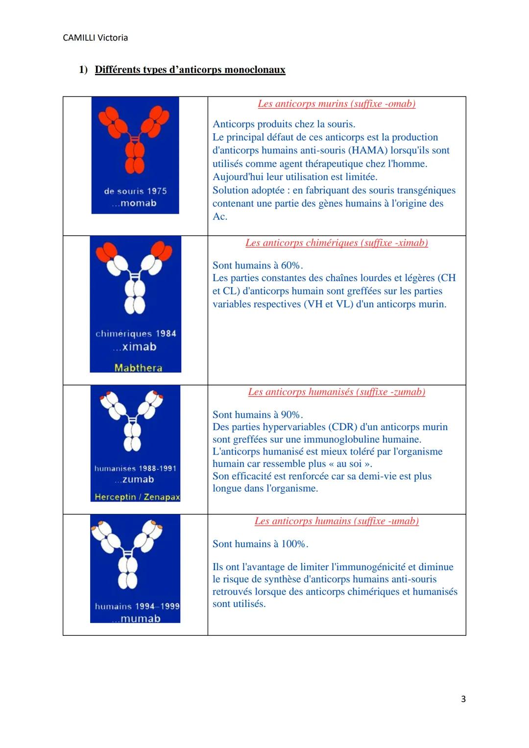CAMILLI Victoria
LES ANTICORPS
MONOCLONAUX
I) Structure anticorps
sites
de liaison
à l'antigène
=10 nm
chaîne lourde
chaîne légère
-8-5-pont
