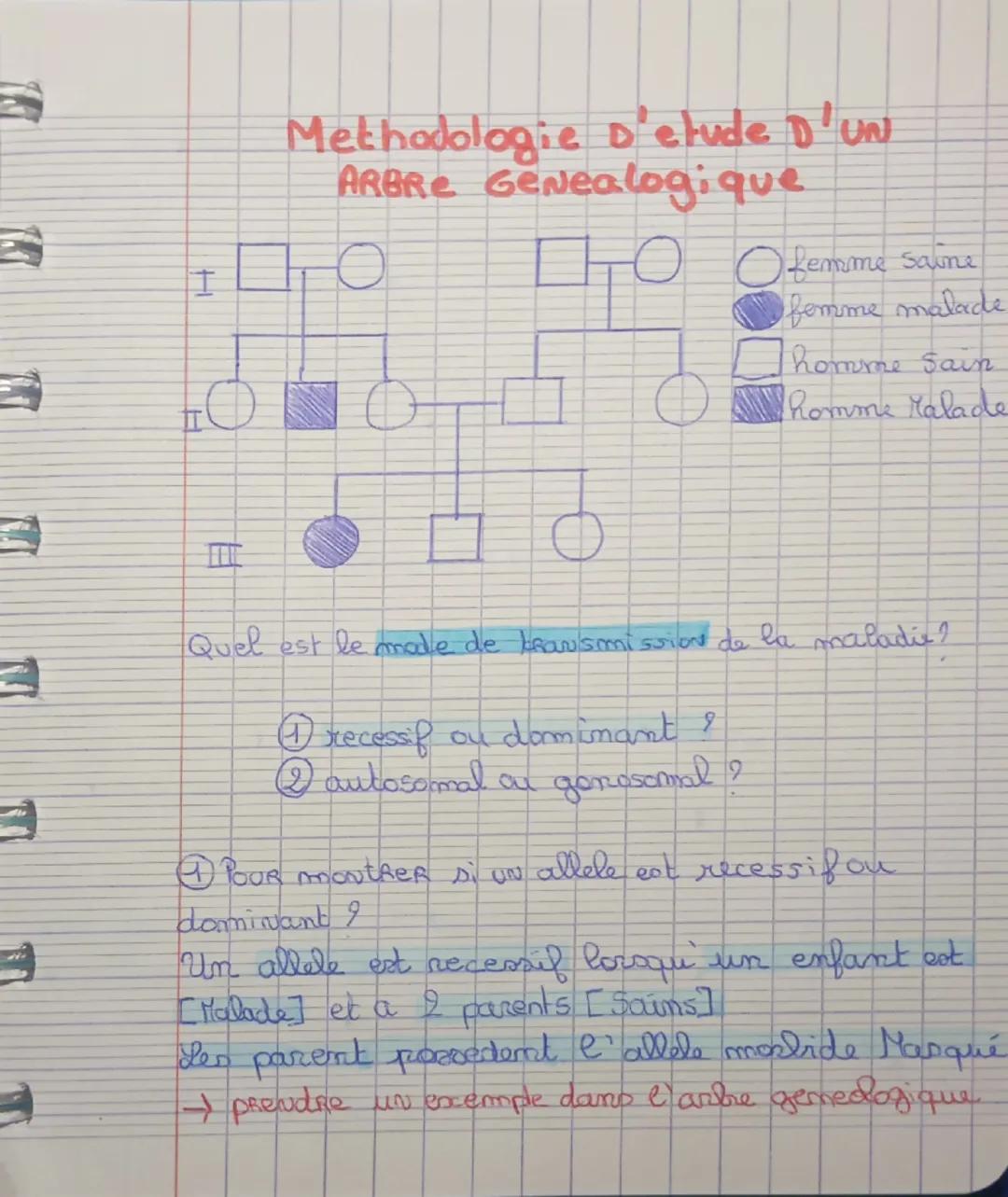 # Methodologie D'etude D'UN
ARBRE Genealogique

I

Lemme fem Saine
femme malade
homme Sain
Romme Malade

II

III

Quel est le male de transm