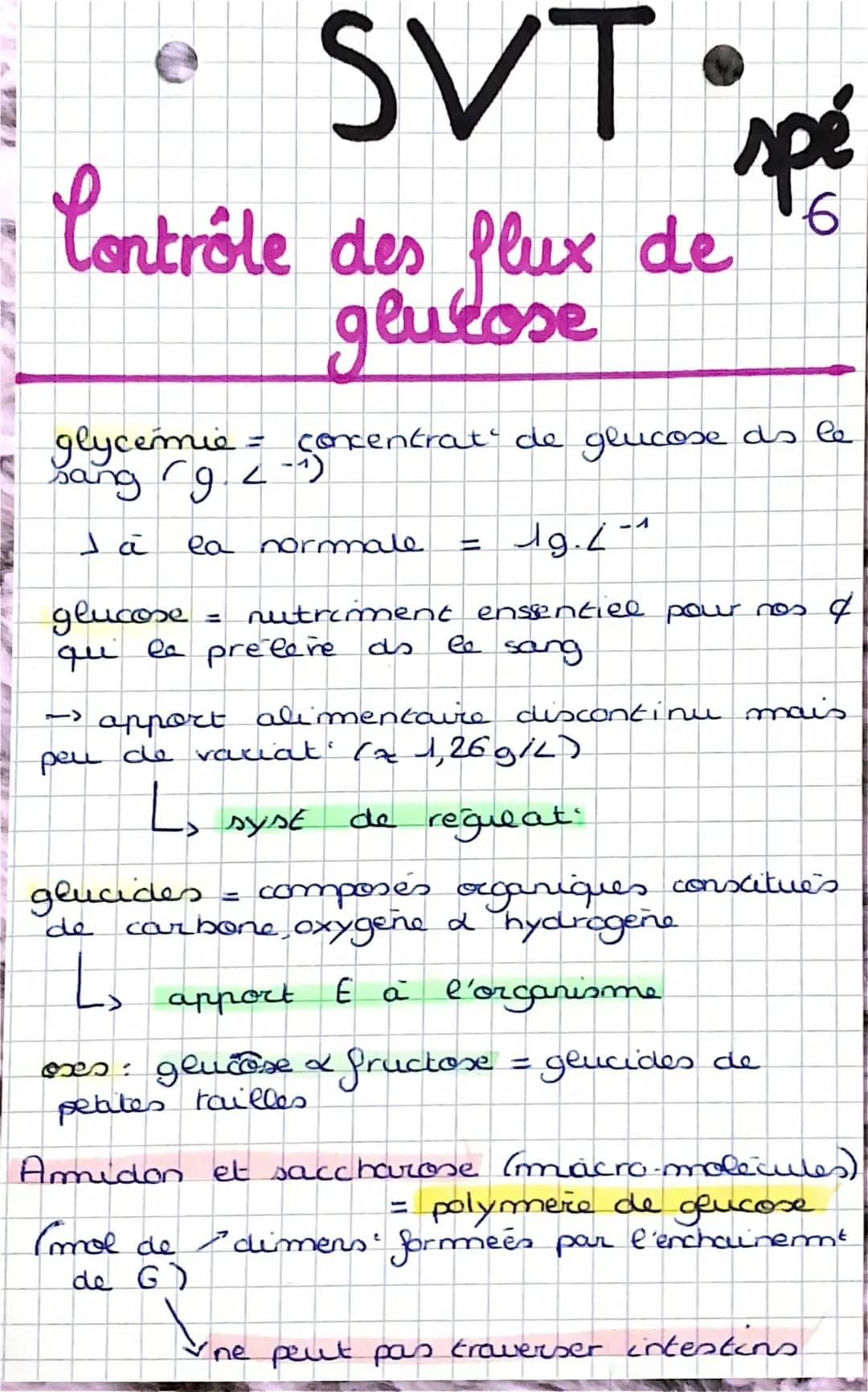 Le rôle du glucose dans la régulation de la glycémie