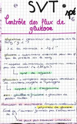 Know contrôle flux de glucose  thumbnail