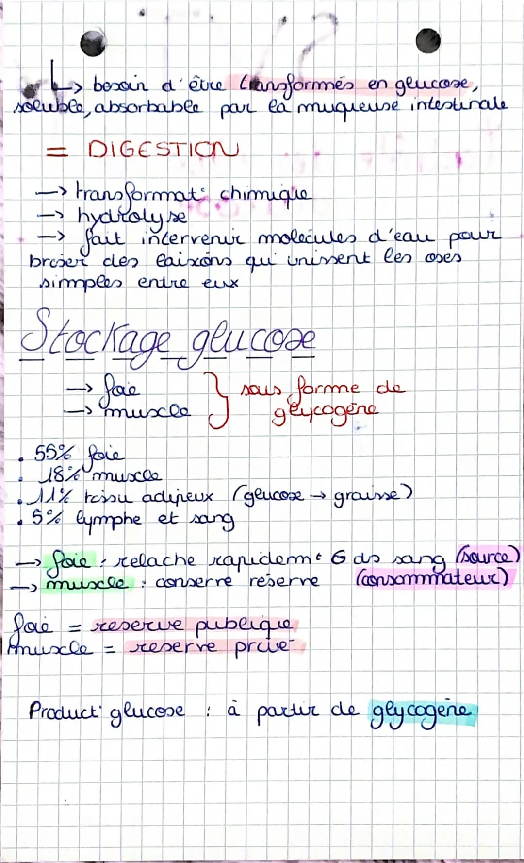 S
SVT.
spe
Contrôle des flux de 6
glucose
glycémie =
2 concentrat
sang (g. 2-1)
Ja
ea normale
concentrat de glucose do le
glucose nutriment
