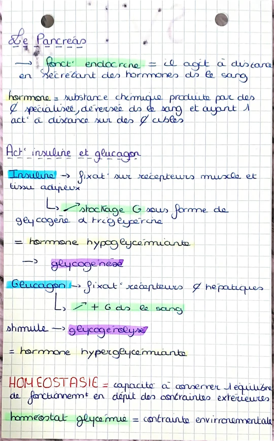 S
SVT.
spe
Contrôle des flux de 6
glucose
glycémie =
2 concentrat
sang (g. 2-1)
Ja
ea normale
concentrat de glucose do le
glucose nutriment
