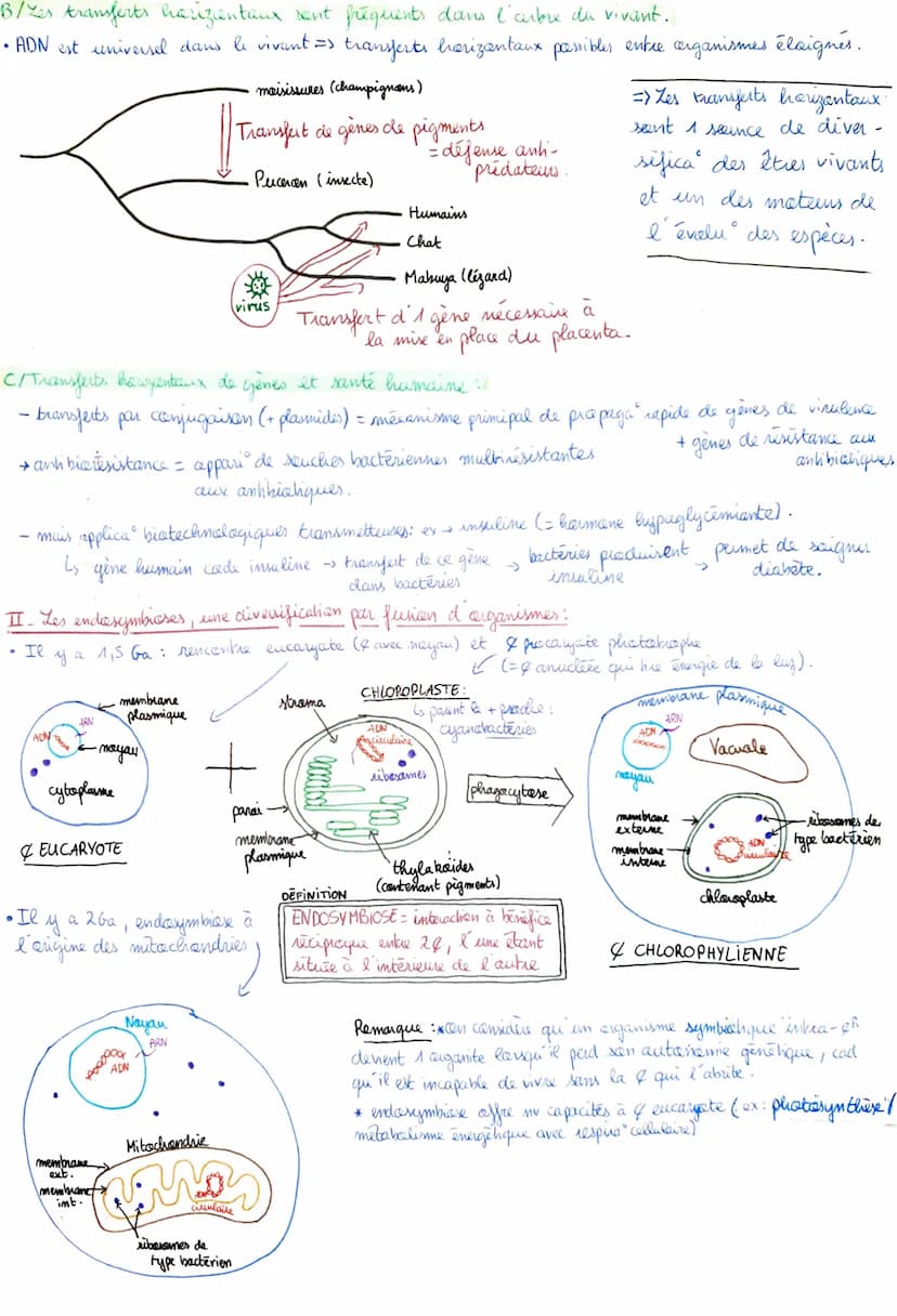 SVT
T1A, CH2 (et 3)
I_2'
-
MV
appact partier d'A mv ginome : his transferts horizantaux:
les
A / Des mécanismes de transfert varies:
1) La t