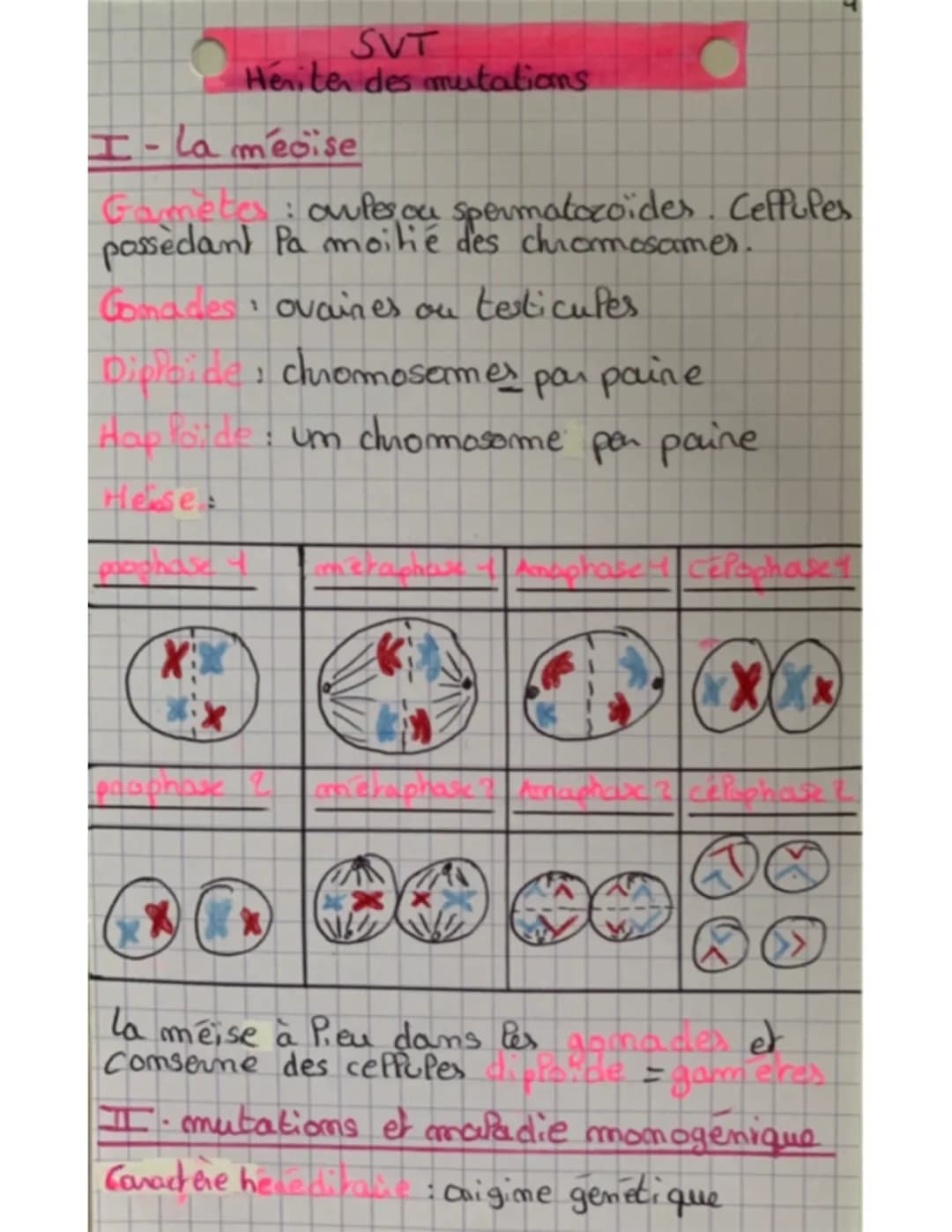 Héritier des mutations 