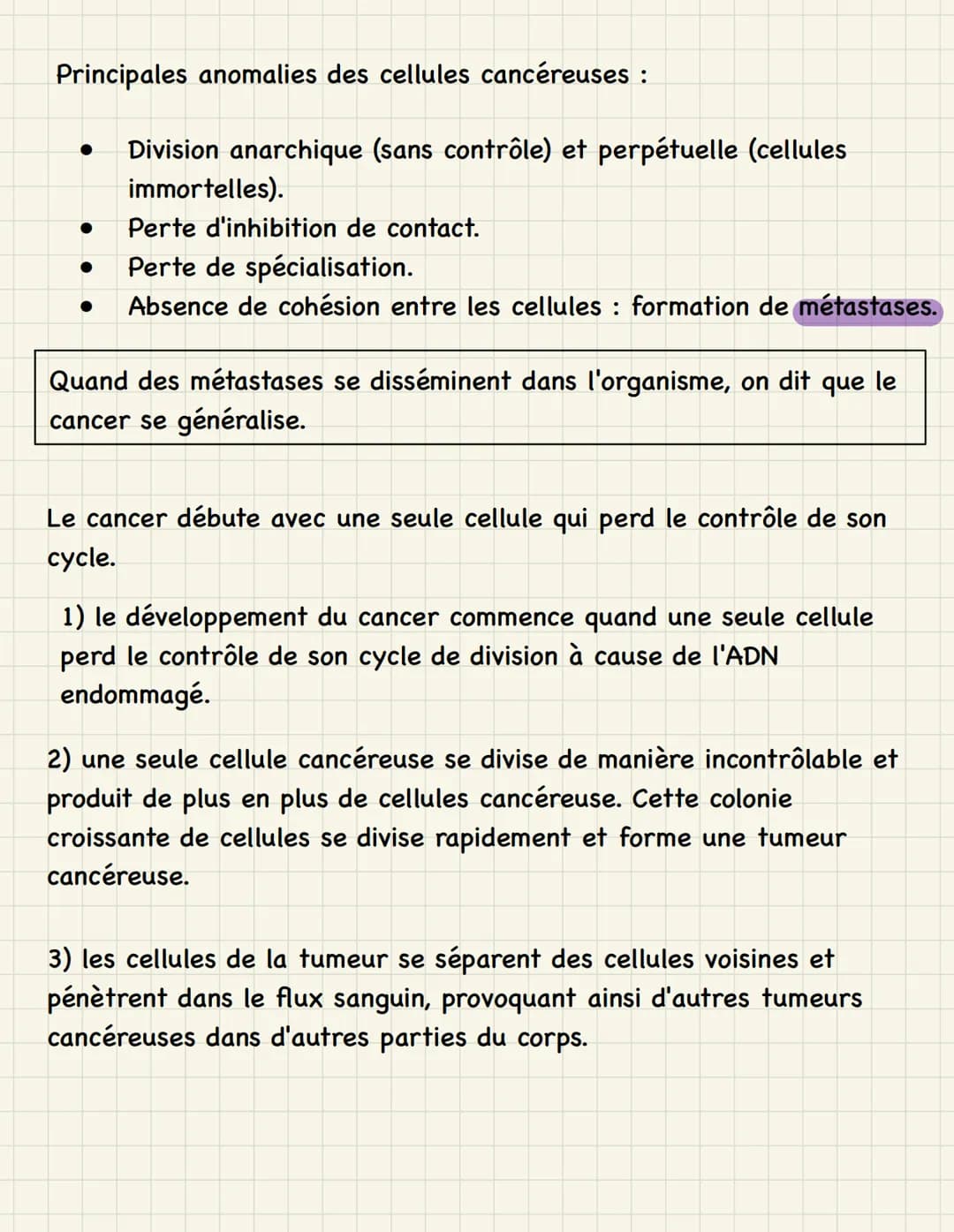 Mitose multiplication cellulaire (division de la cellule mère,
dans les cellules somatiques)
=
Étapes de la mitose :
1. Interphase : - phase
