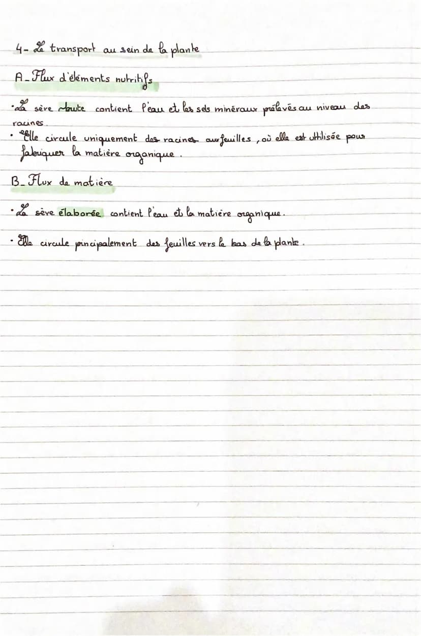 9
3
fiche svt n°1
n°8
3
science
nutrition et organisation des végétaux
1. Les besoins d'une plante chlorophyllienne.
• pour produire la mati
