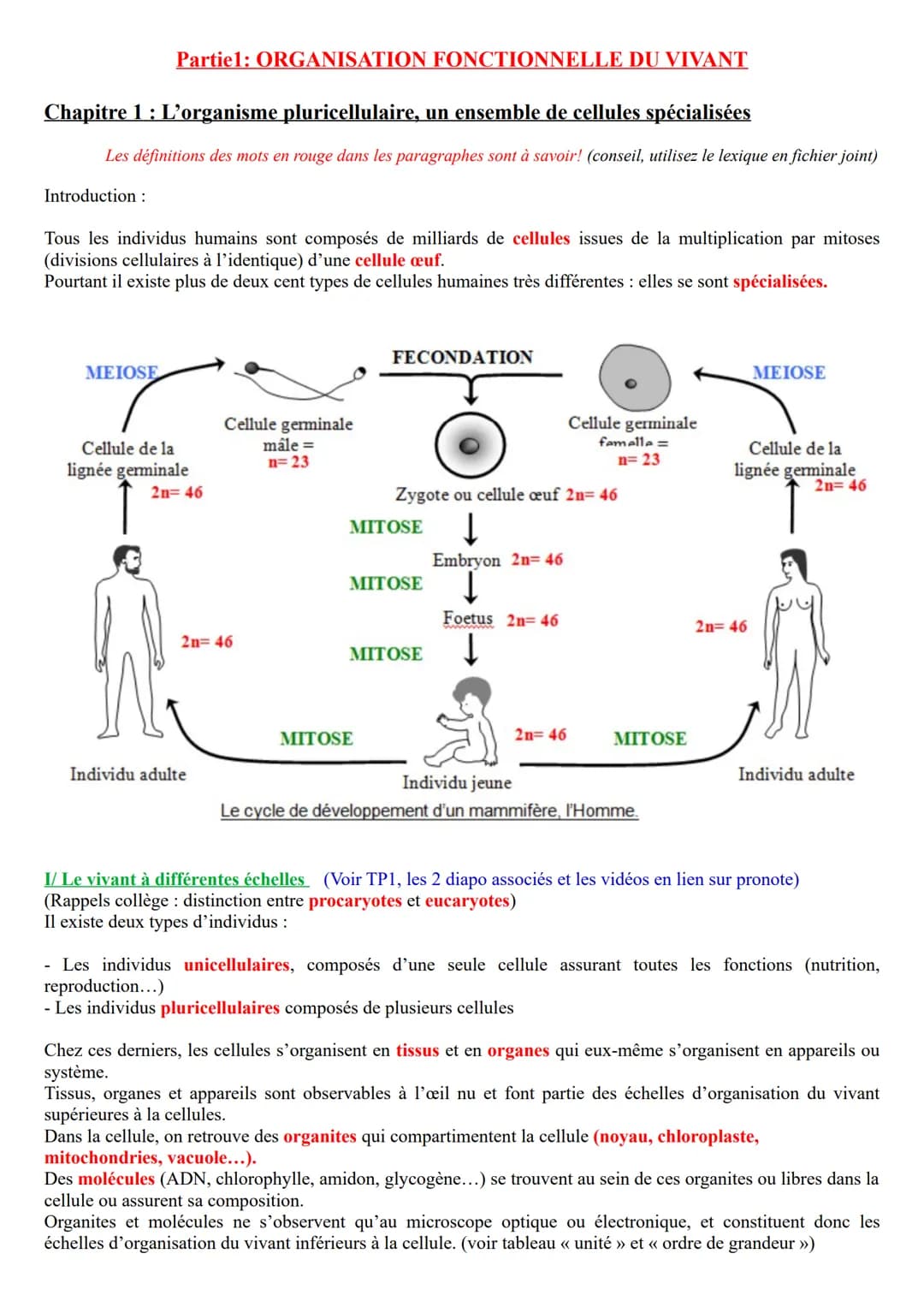 Chapitre 1 : L'organisme pluricellulaire, un ensemble de cellules spécialisées
Les définitions des mots en rouge dans les paragraphes sont à