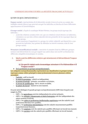Know SES - COMMENT EST STRUCTURÉE LA SOCIÉTÉ FRANÇAISE ACTUELLE ? thumbnail