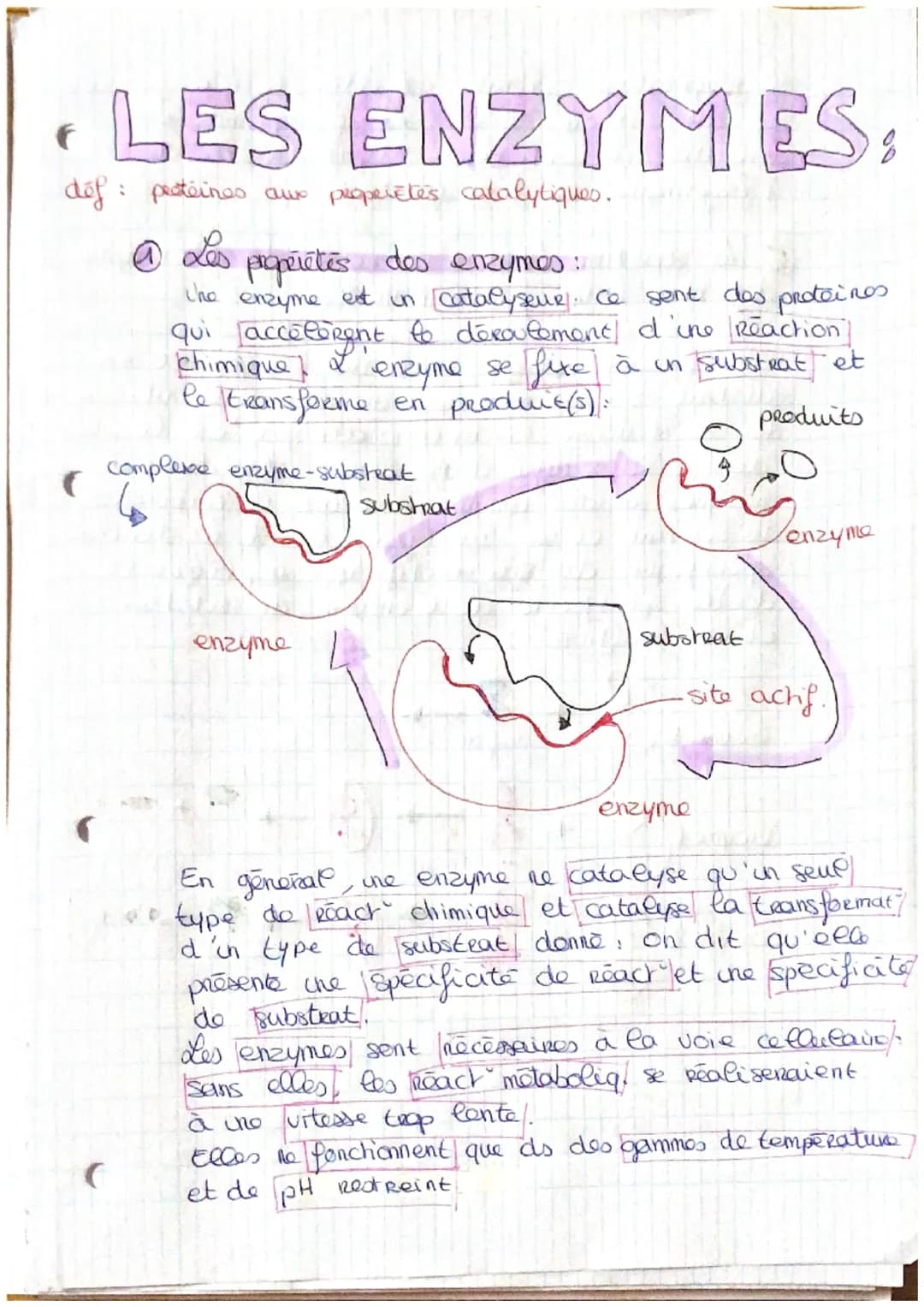 . LES ENZYMES.
déf : proteines aux properetes catalytiques.
@ Les properétés des enzymes:
L'ho
enzyme
est un catalyseur. Ce sent des.
protei