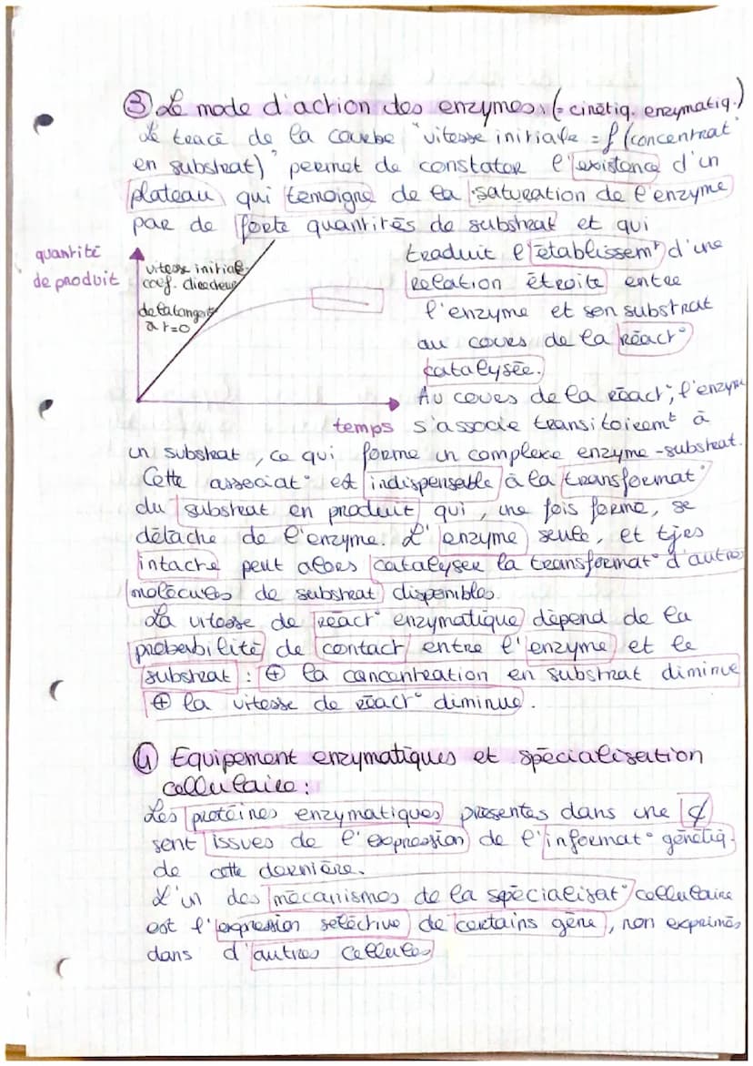 . LES ENZYMES.
déf : proteines aux properetes catalytiques.
@ Les properétés des enzymes:
L'ho
enzyme
est un catalyseur. Ce sent des.
protei
