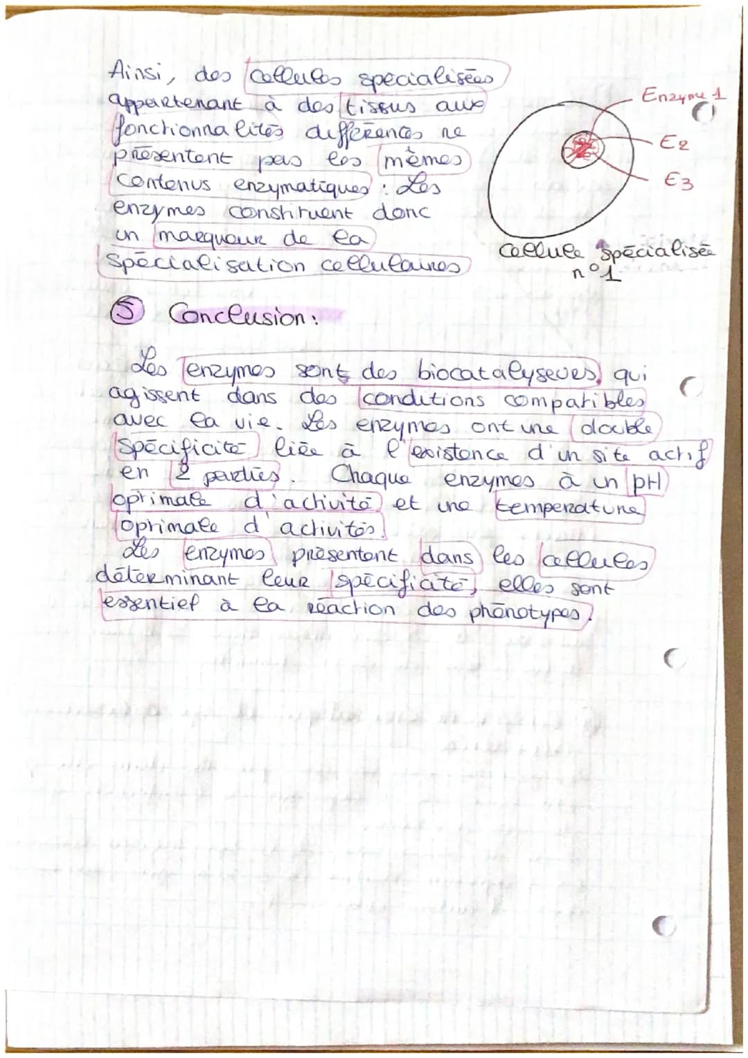. LES ENZYMES.
déf : proteines aux properetes catalytiques.
@ Les properétés des enzymes:
L'ho
enzyme
est un catalyseur. Ce sent des.
protei